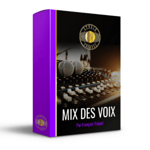 Formation MAO Mixage des voix